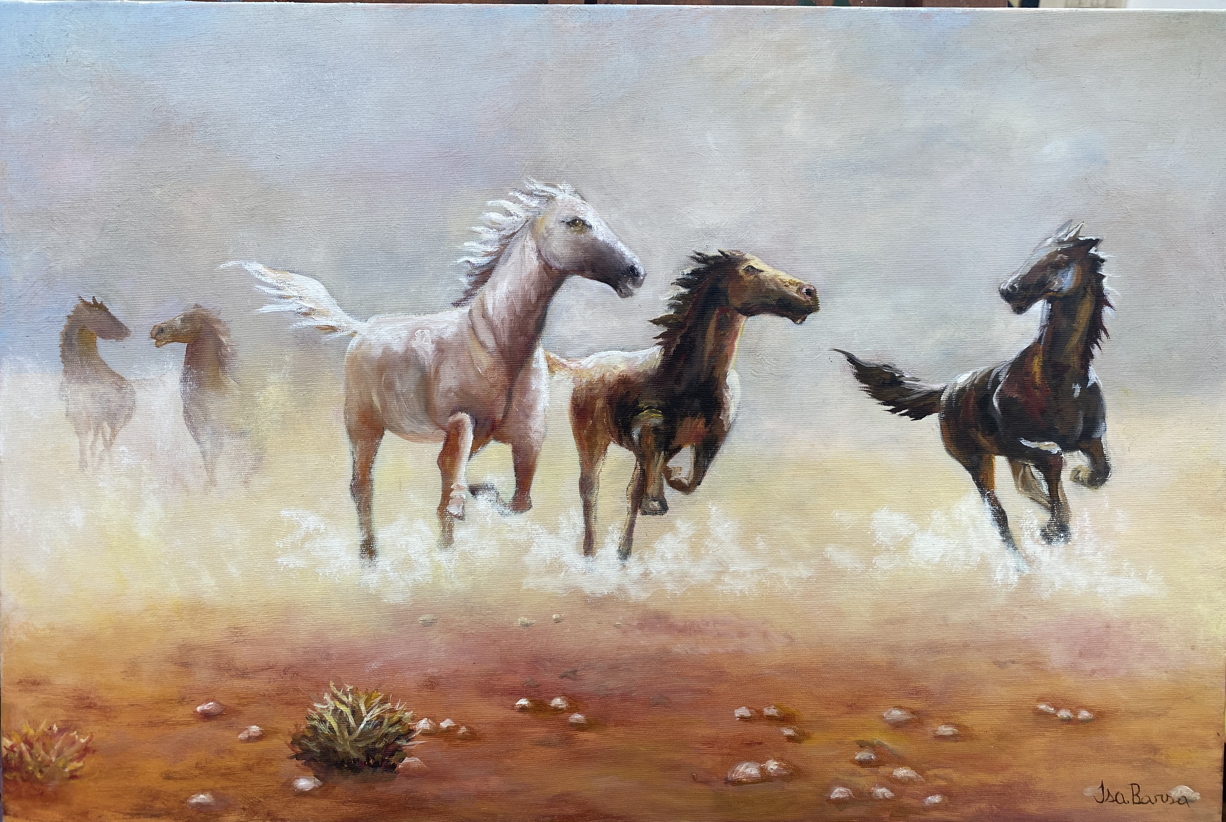 Selvagens - 40 x 60 - Ost